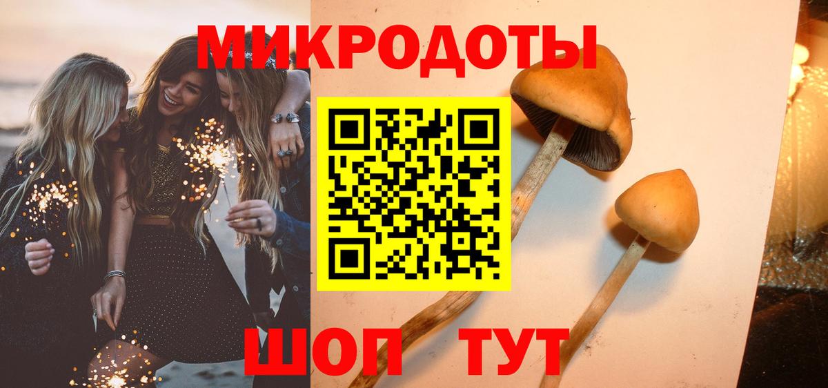 Псилоцибиновые грибы мухоморы Кудрово
